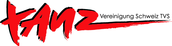 TVS Logo HG hell3